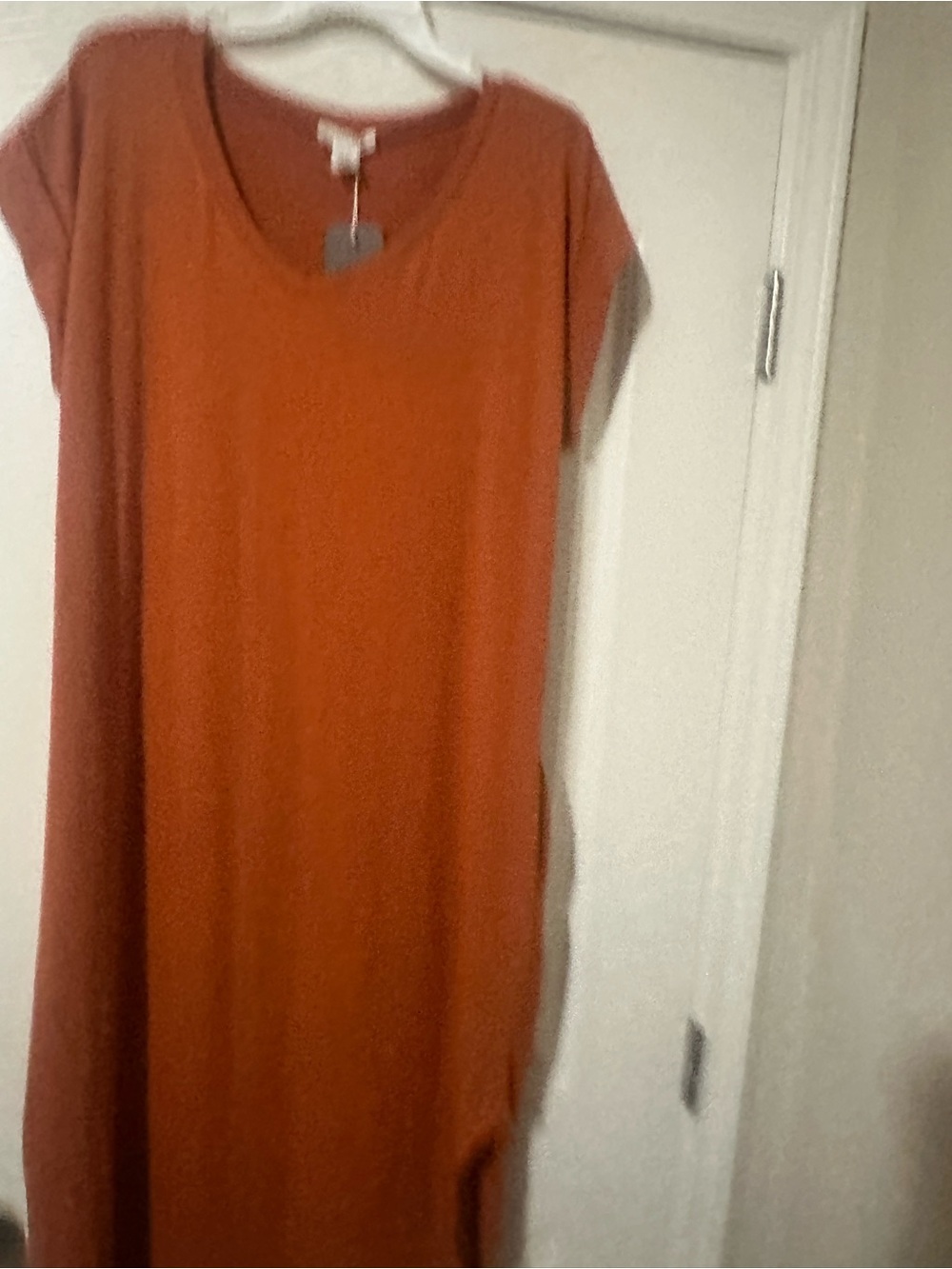 Women's Short Sleeve Shift Dress in Rust